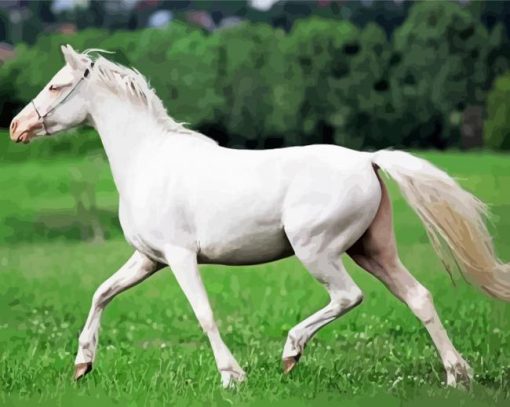 Aesthetic White Horse Diamond Painting