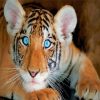 Baby Blue Eyes Tiger Diamond Painting