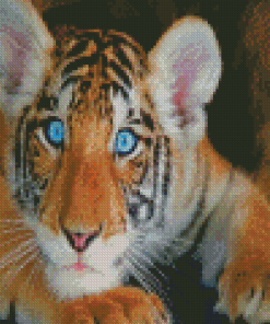 Baby Blue Eyes Tiger Diamond Painting