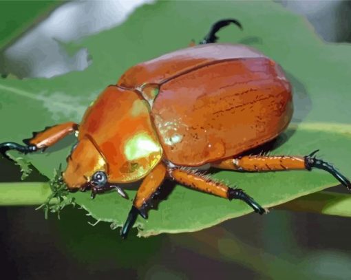 Christmas Beetle Diamond Painting