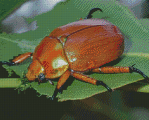 Christmas Beetle Diamond Painting