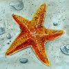 Colden Starfish Diamond Painting