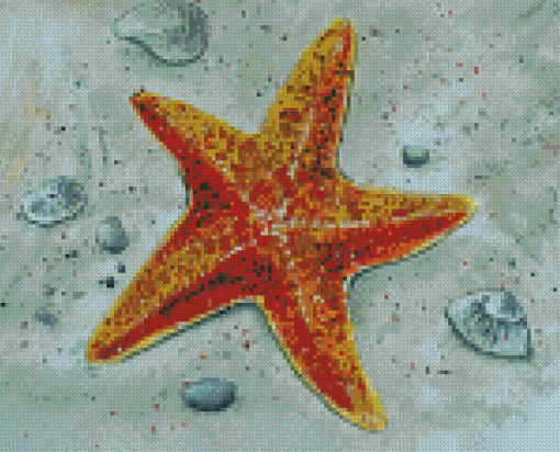 Colden Starfish Diamond Painting