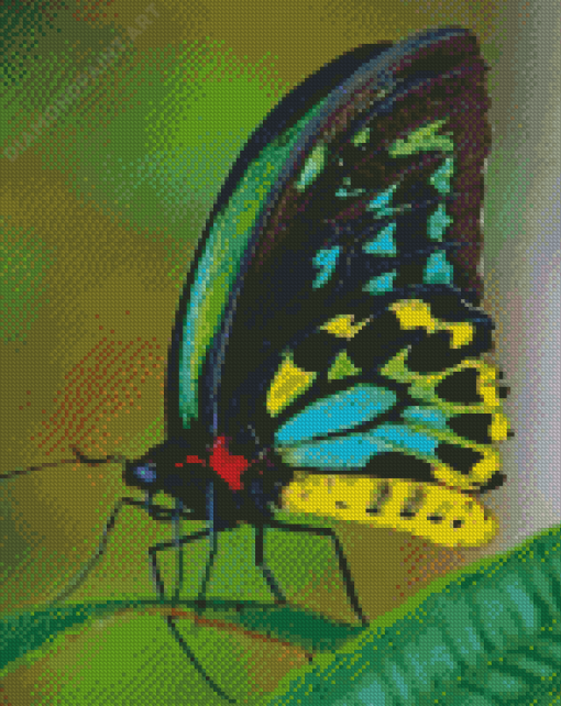 Colorful Butterfly Diamond Painting