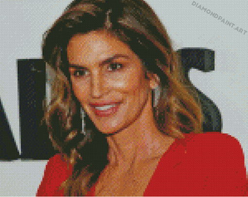 Cool Cindy Crawford Diamond Painting