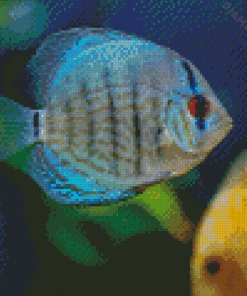 Cool Cichlid Diamond Painting