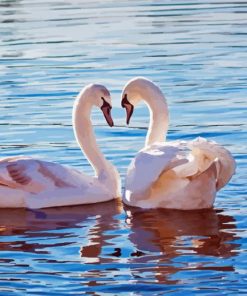 Couple Swan Birds Diamond Painting