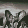 Elephants Couple Black And White Diamond Painting