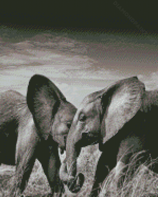 Elephants Couple Black And White Diamond Painting