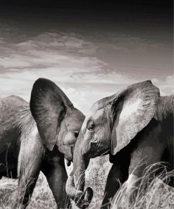 Elephants Couple Black And White Diamond Painting