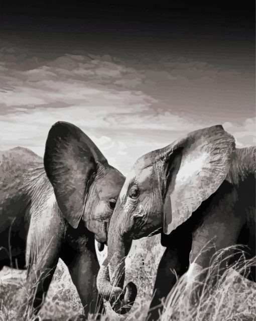 Elephants Couple Black And White Diamond Painting