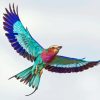 Lilac Roller African Bird Diamond Painting