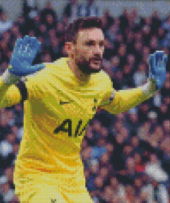 Goalkeeper Hugo Lloris Diamond Painting