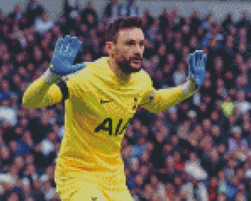 Goalkeeper Hugo Lloris Diamond Painting