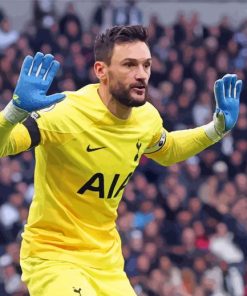 Goalkeeper Hugo Lloris Diamond Painting