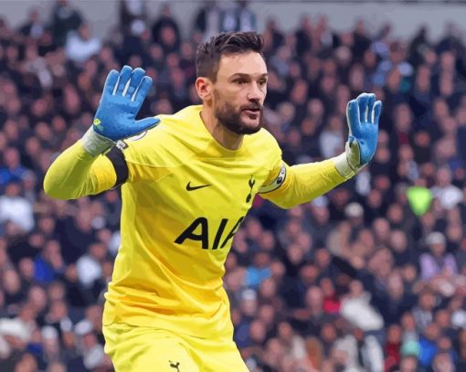 Goalkeeper Hugo Lloris Diamond Painting