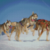 Husky Sled Dogs Diamond Painting