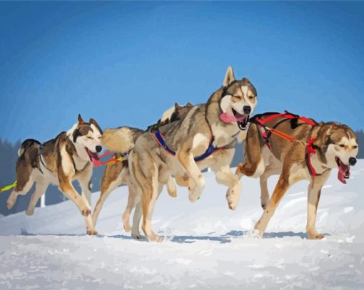 Husky Sled Dogs Diamond Painting