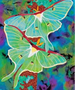 Lunar Moth Insects Diamond Painting