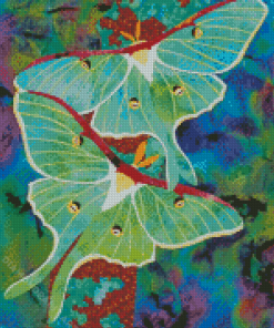 Lunar Moth Insects Diamond Painting