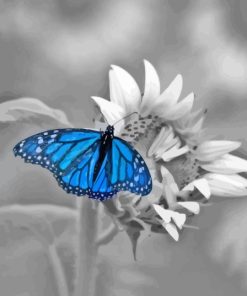 Monochrome Blue Buttefly Diamond Painting