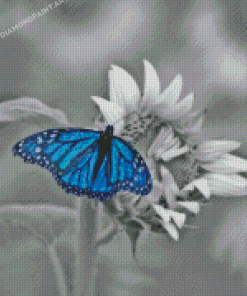 Monochrome Blue Buttefly Diamond Painting