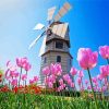 Pink Tulpen En Molen Diamond Painting