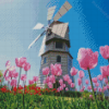 Pink Tulpen En Molen Diamond Painting