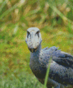 Shoebill Bird Diamond Painting