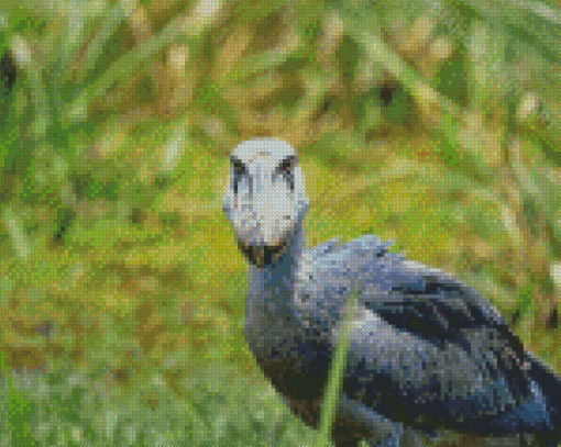 Shoebill Bird Diamond Painting