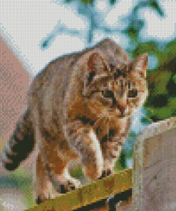 Sneaking Cat Diamond Painting