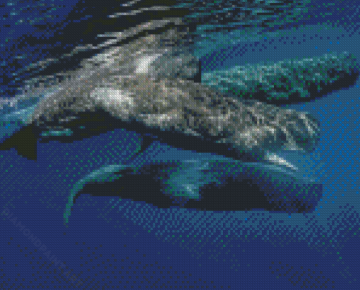 Sperm Whales In The Ocean Diamond Painting