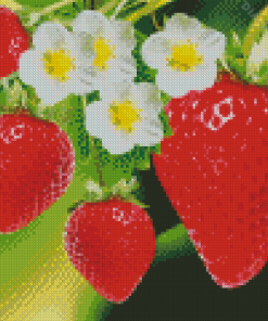 Strawberry Fruits With Flowers Diamond Painting