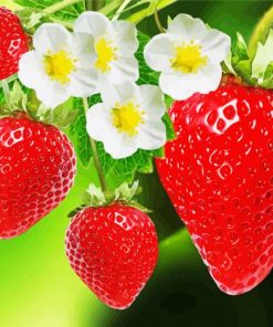 Strawberry Fruits With Flowers Diamond Painting