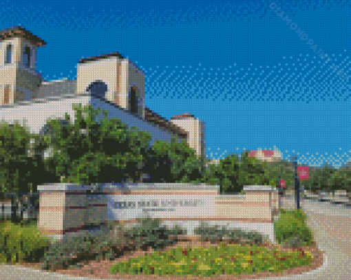 Texas State University View Diamond Painting