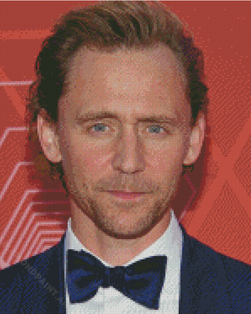 The Actor Tom Hiddleston Diamond Painting