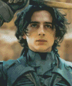 Timothee Chalamet Diamond Painting