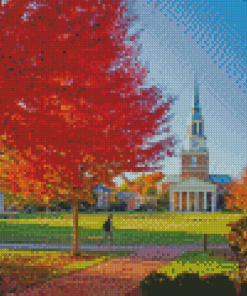 Wake Forest University North Carolina Diamond Painting