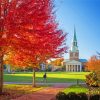 Wake Forest University North Carolina Diamond Painting