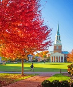 Wake Forest University North Carolina Diamond Painting