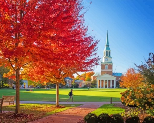 Wake Forest University North Carolina Diamond Painting