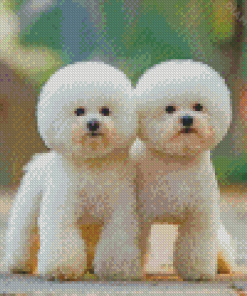 White Fluffy Dogs Diamond Painting